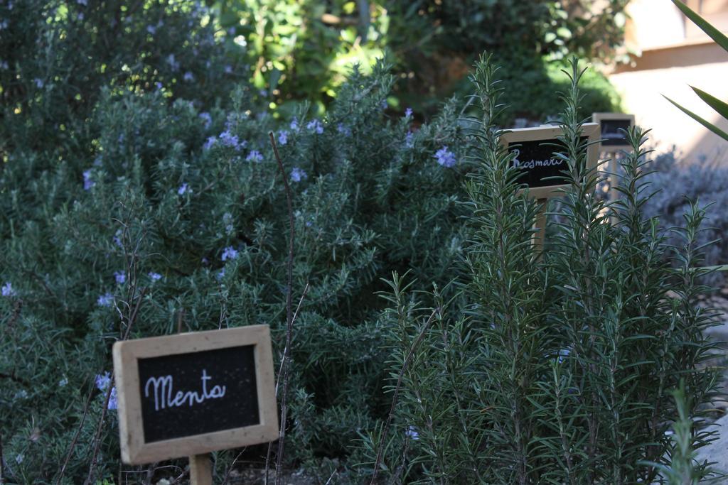 La Caladina Bed & Breakfast Mougins Ngoại thất bức ảnh